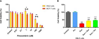 The Prophylactic Effect of Pinocembrin Against Doxorubicin-Induced Cardiotoxicity in an In Vitro H9c2 Cell Model